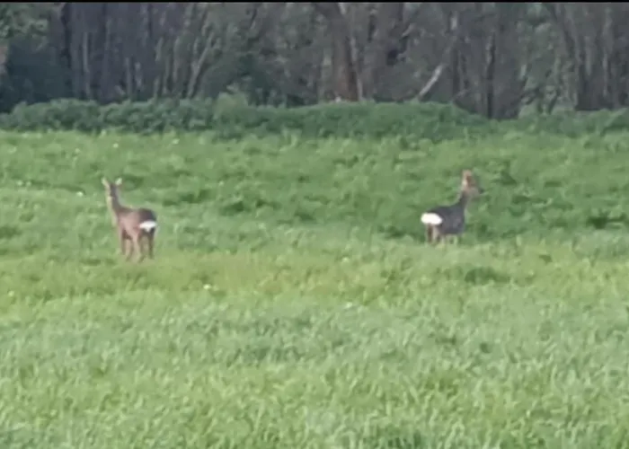 Prázdninový dům Casa Vacacional Mirador De San Vicente Vacation Serdio