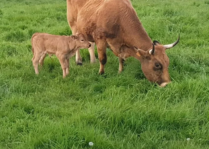 Casa Vacacional Mirador De San Vicente Vacation *